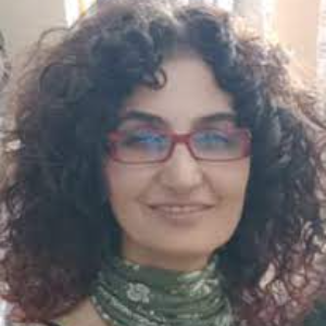 Gulbu Tanriverdi, Speaker at Nursing Research Conferences