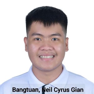 Neil Cyrus Gian Bangtuan, Speaker at Nursing Research Conferences