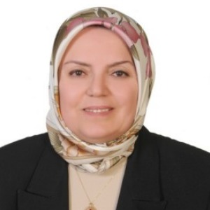 Ozcan Erdogan, Speaker at Nursing Conferences